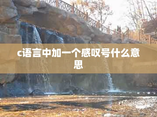 c语言中加一个感叹号什么意思
