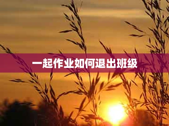 一起作业如何退出班级