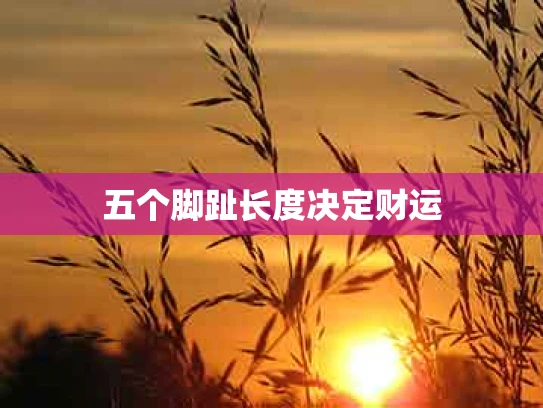 五个脚趾长度决定财运
