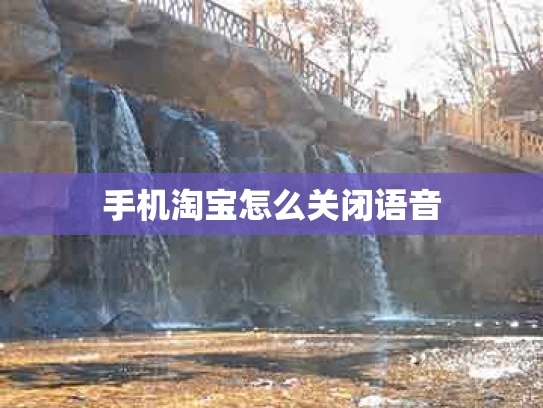 手机淘宝怎么关闭语音