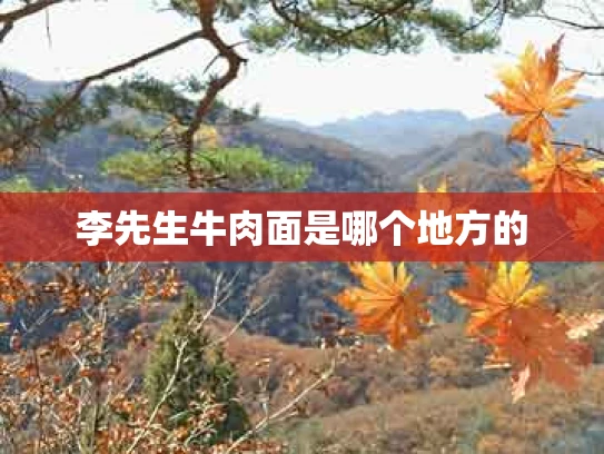 李先生牛肉面是哪个地方的