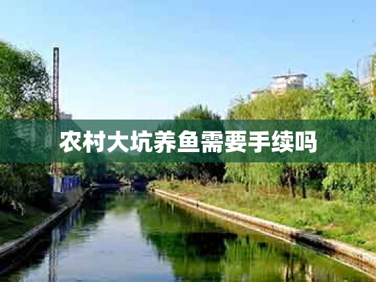农村大坑养鱼需要手续吗