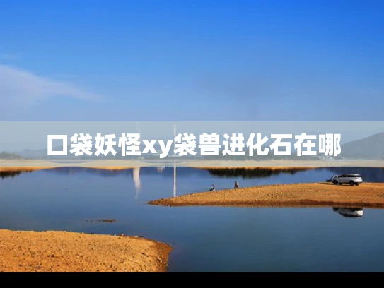 口袋妖怪xy袋兽进化石在哪