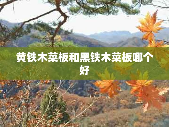 黄铁木菜板和黑铁木菜板哪个好