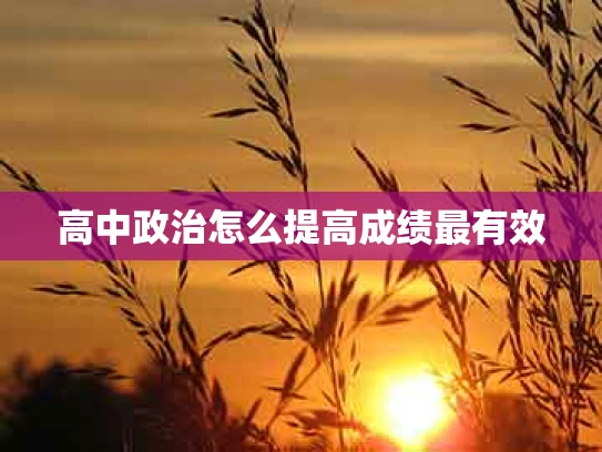 高中政治怎么提高成绩最有效