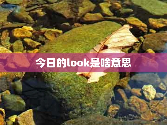 今日的look是啥意思