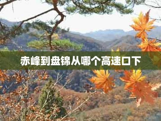 赤峰到盘锦从哪个高速口下