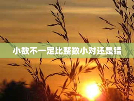 小数不一定比整数小对还是错