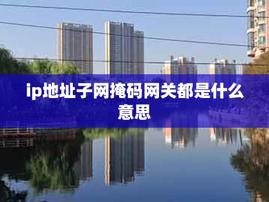 ip地址子网掩码网关都是什么意思