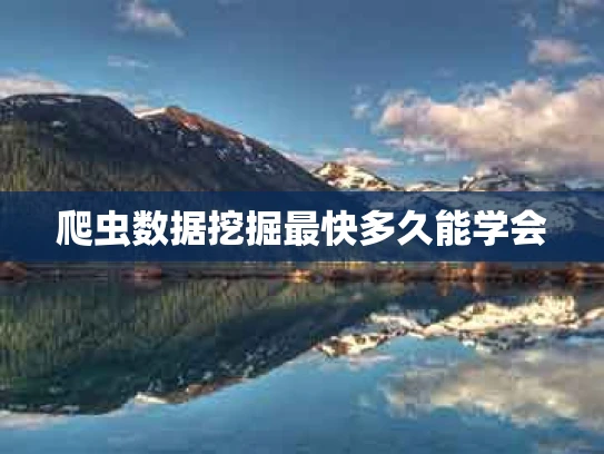 爬虫数据挖掘最快多久能学会