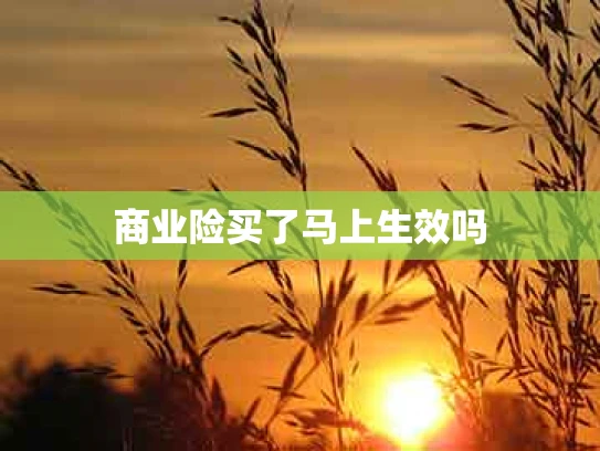商业险买了马上生效吗