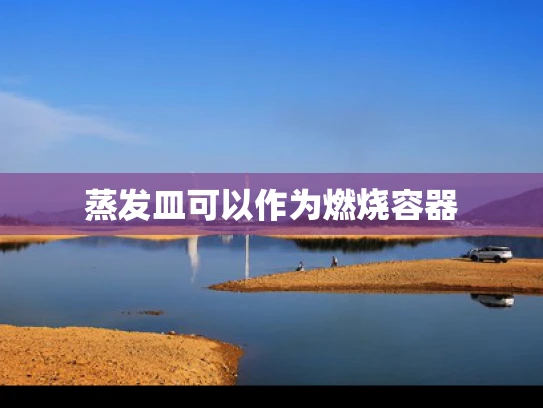 蒸发皿可以作为燃烧容器