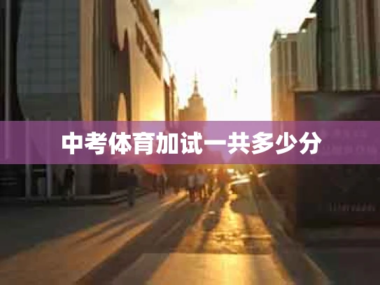 中考体育加试一共多少分