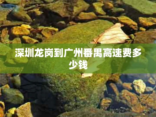 深圳龙岗到广州番禺高速费多少钱