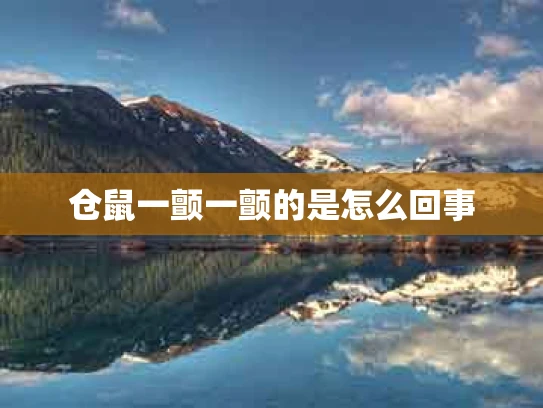 仓鼠一颤一颤的是怎么回事