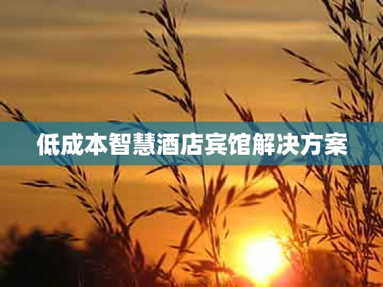 低成本智慧酒店宾馆解决方案