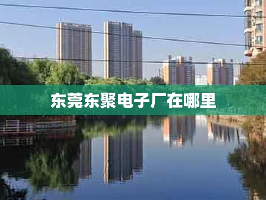 东莞东聚电子厂在哪里