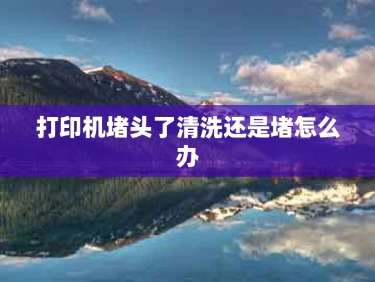 打印机堵头了清洗还是堵怎么办