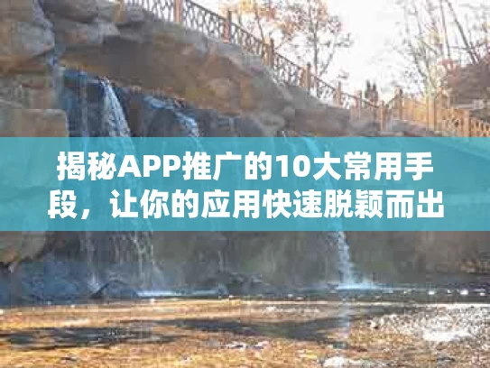 揭秘APP推广的10大常用手段，让你的应用快速脱颖而出