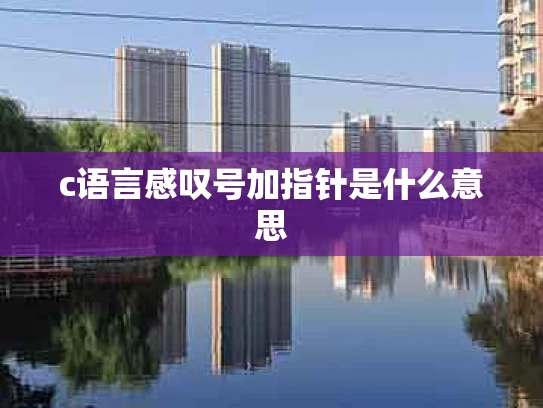 c语言感叹号加指针是什么意思