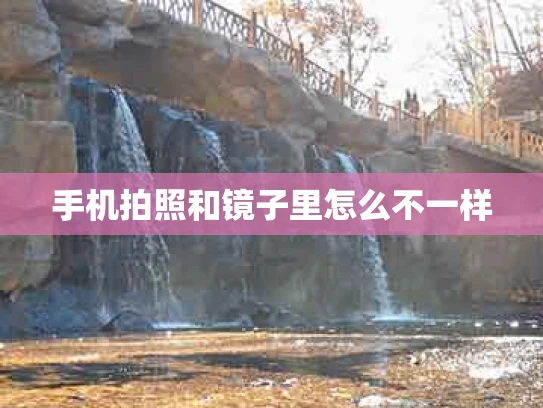 手机拍照和镜子里怎么不一样