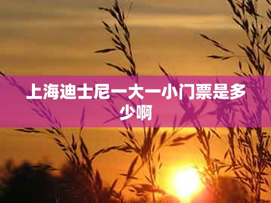 上海迪士尼一大一小门票是多少啊
