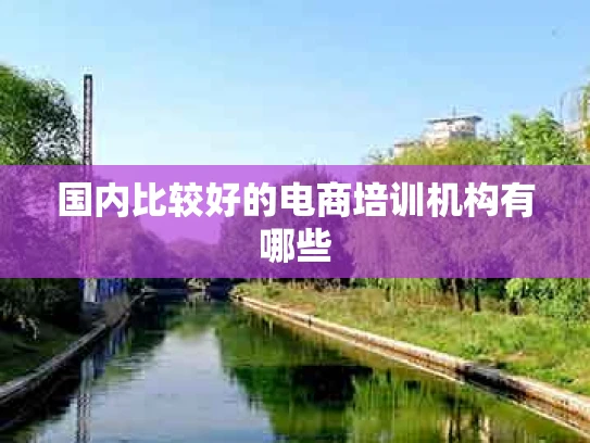 国内比较好的电商培训机构有哪些