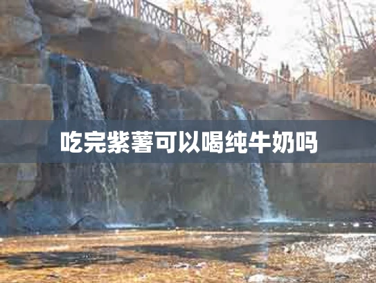 吃完紫薯可以喝纯牛奶吗