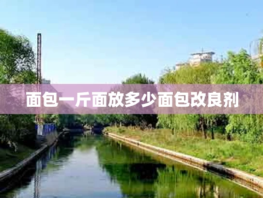 面包一斤面放多少面包改良剂