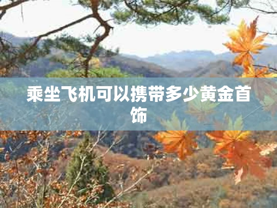 乘坐飞机可以携带多少黄金首饰