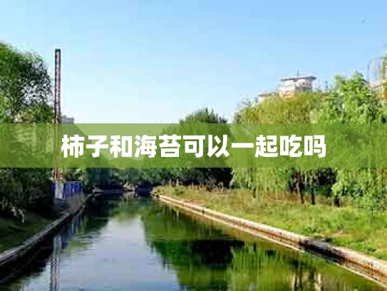 柿子和海苔可以一起吃吗