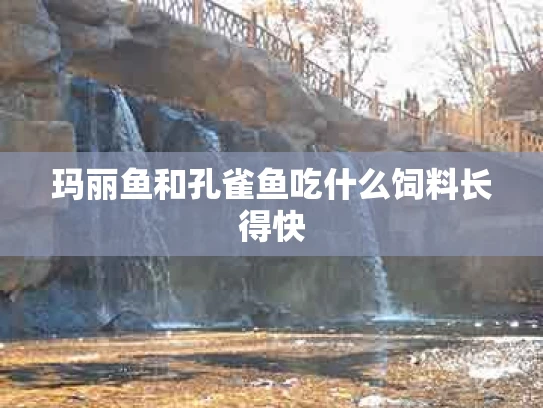 玛丽鱼和孔雀鱼吃什么饲料长得快