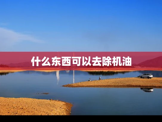 什么东西可以去除机油