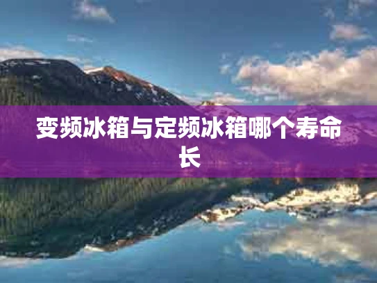 变频冰箱与定频冰箱哪个寿命长