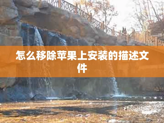 怎么移除苹果上安装的描述文件