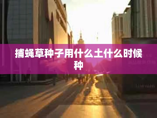 捕蝇草种子用什么土什么时候种