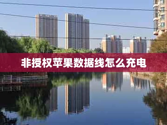 非授权苹果数据线怎么充电