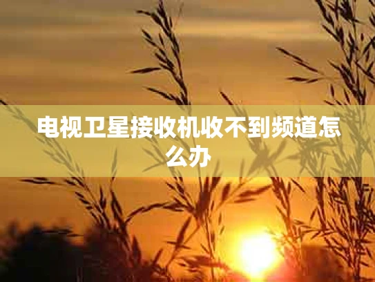 电视卫星接收机收不到频道怎么办