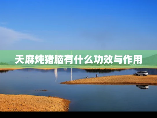 天麻炖猪脑有什么功效与作用