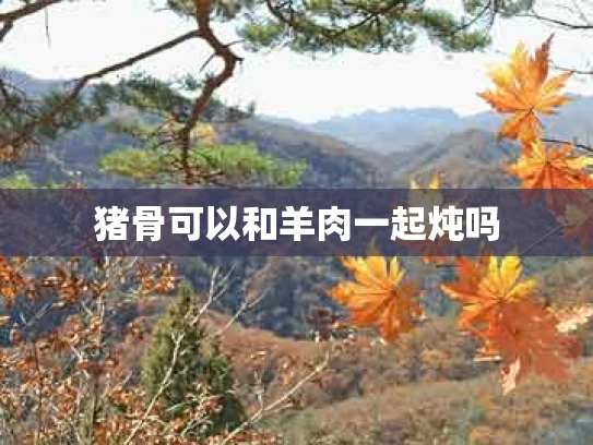 猪骨可以和羊肉一起炖吗
