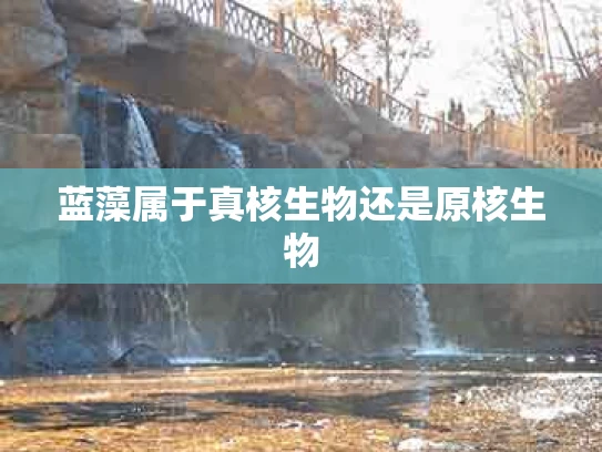 蓝藻属于真核生物还是原核生物