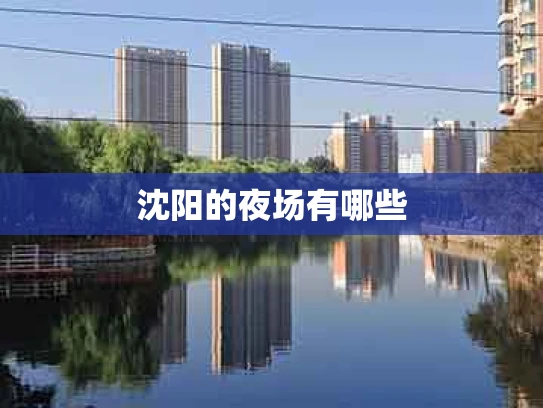 沈阳的夜场有哪些