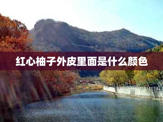 红心柚子外皮里面是什么颜色