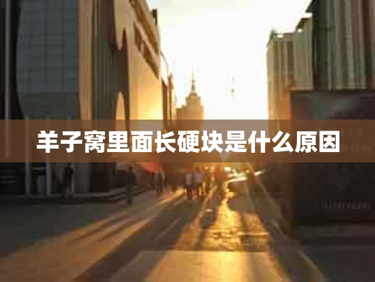 羊子窝里面长硬块是什么原因