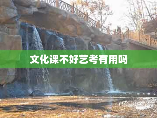 文化课不好艺考有用吗