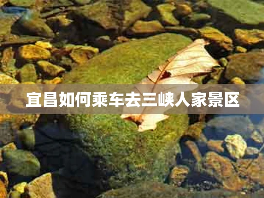 宜昌如何乘车去三峡人家景区