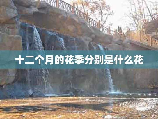十二个月的花季分别是什么花