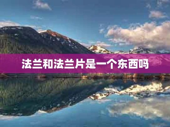 法兰和法兰片是一个东西吗