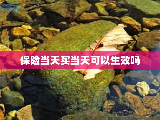 保险当天买当天可以生效吗