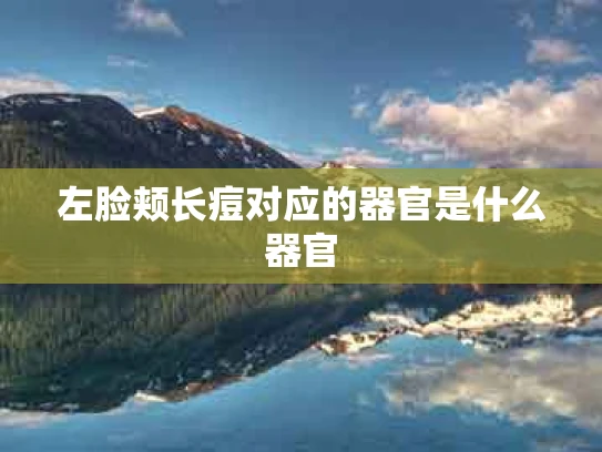 左脸颊长痘对应的器官是什么器官